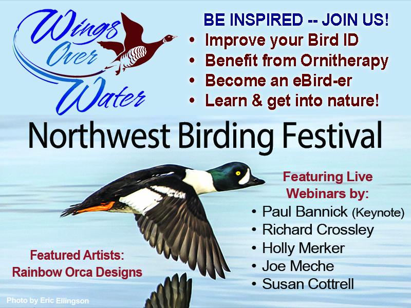 Wings Over Water | Northwest Birding Festival | Blaine, WA