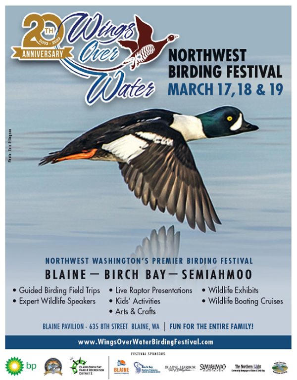 WOW Festival Publications | Wings Over Water | Birding Festival | Blaine