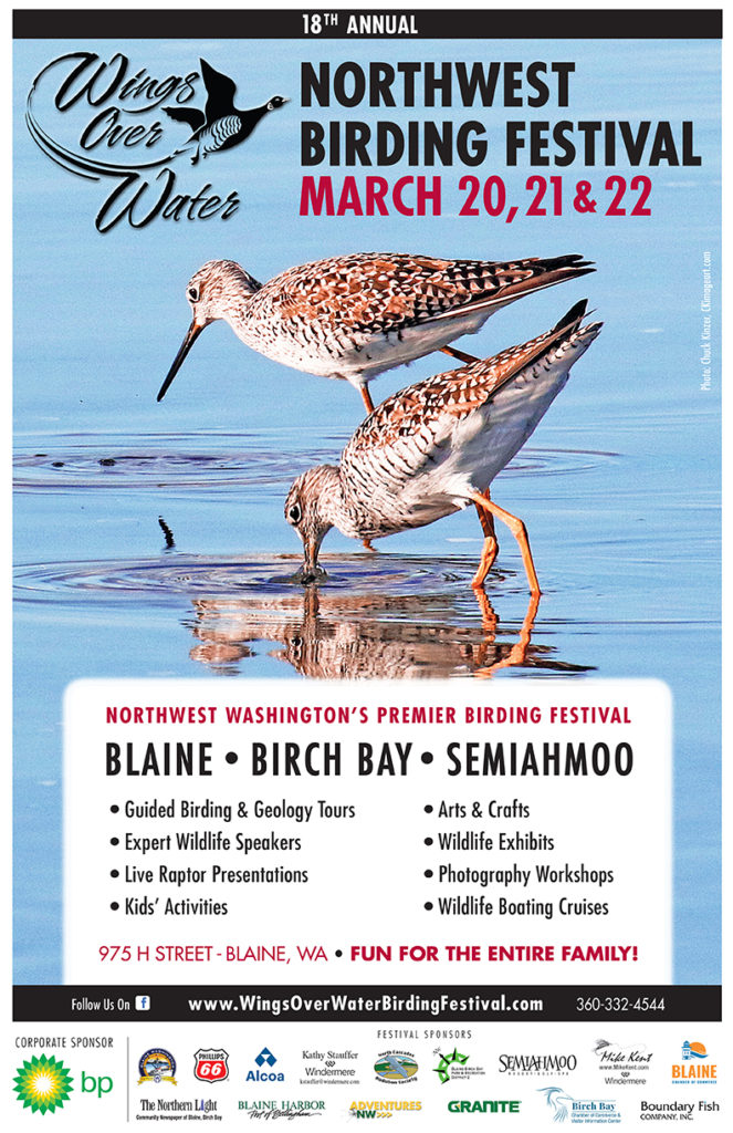 WOW Festival Publications | Wings Over Water | Birding Festival | Blaine